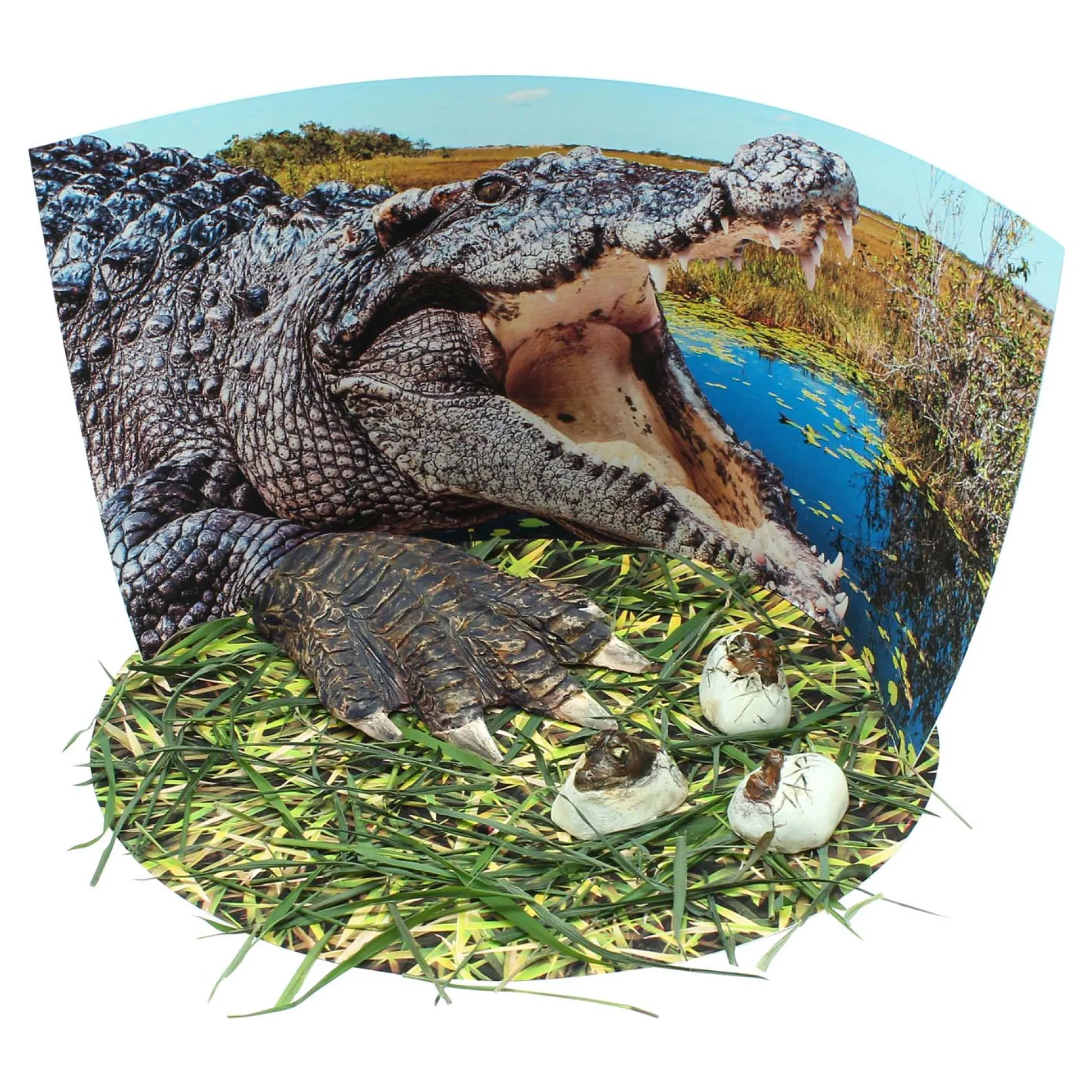 Educators Resource Wild Environmental Science Extreme Crocodiles Kit - Craft & Learn About Crocodiles* Crafts & Activities