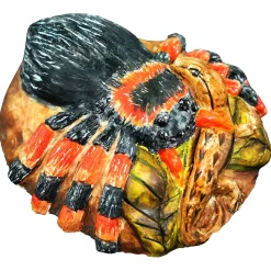 Educators Resource Wild Environmental Science Extreme Spiders Kit - Educational Spider Model Set* Science & Discovery