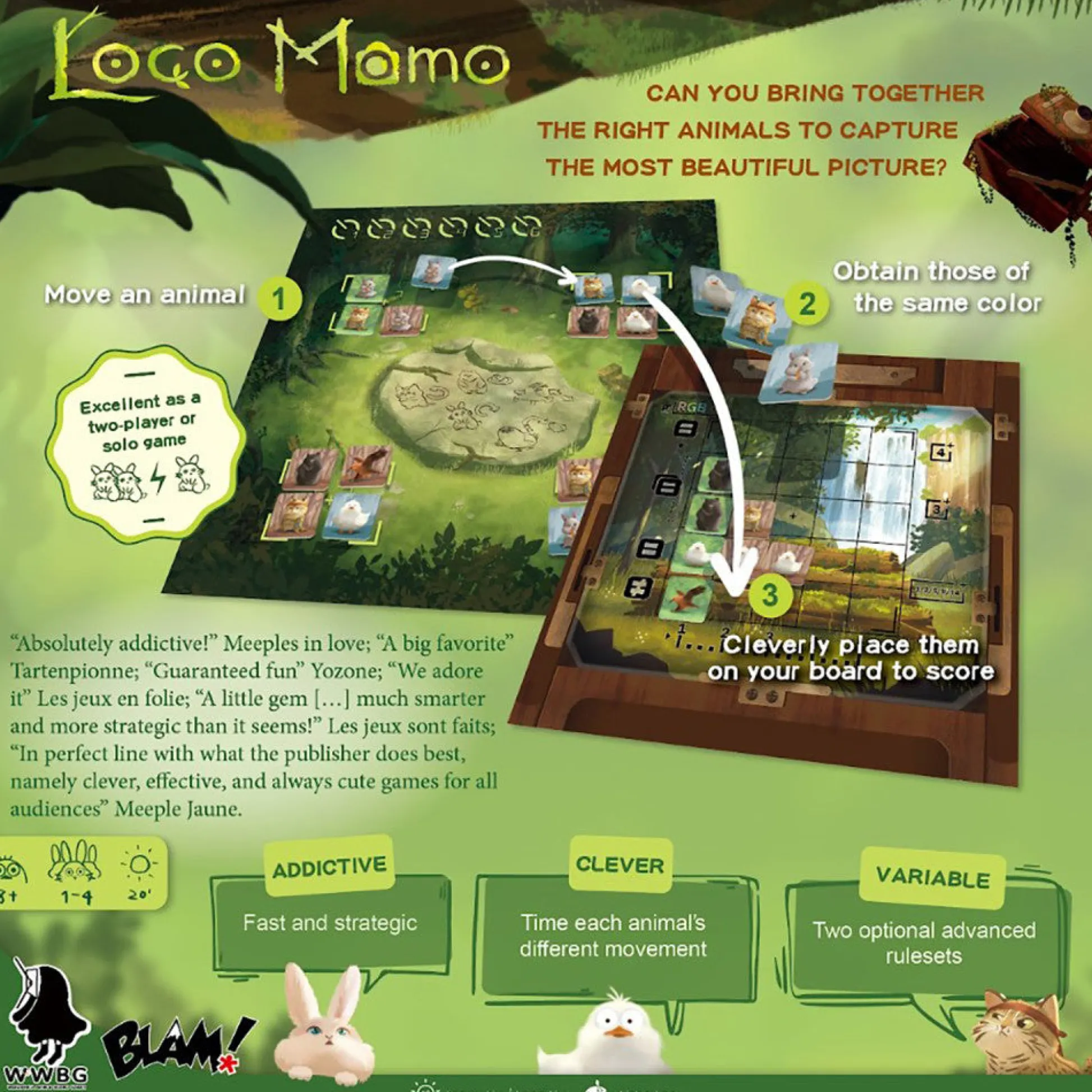 Flat River Group Wonderful World: Loco Momo Captivating Family Card Game, Ages 8+, 1-4 Players* Card Games