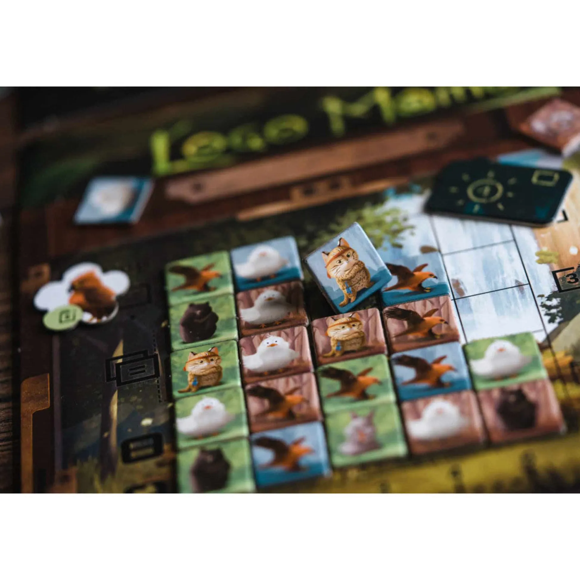 Flat River Group Wonderful World: Loco Momo Captivating Family Card Game, Ages 8+, 1-4 Players* Card Games