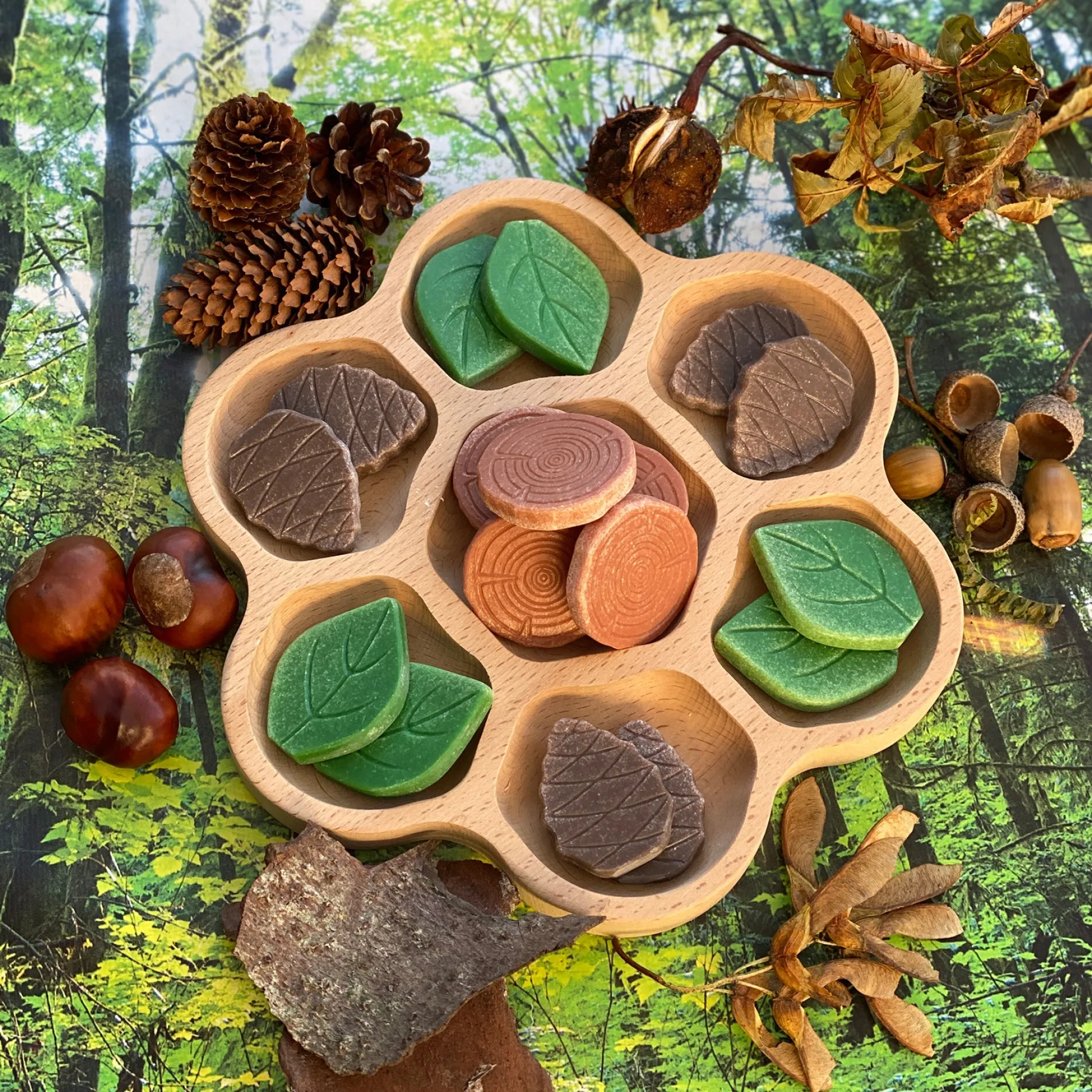 Educators Resource Yellow Door Forest Play Scenery Stones Set - 18 Engraved Pieces* Preschool Education Toys & Activities