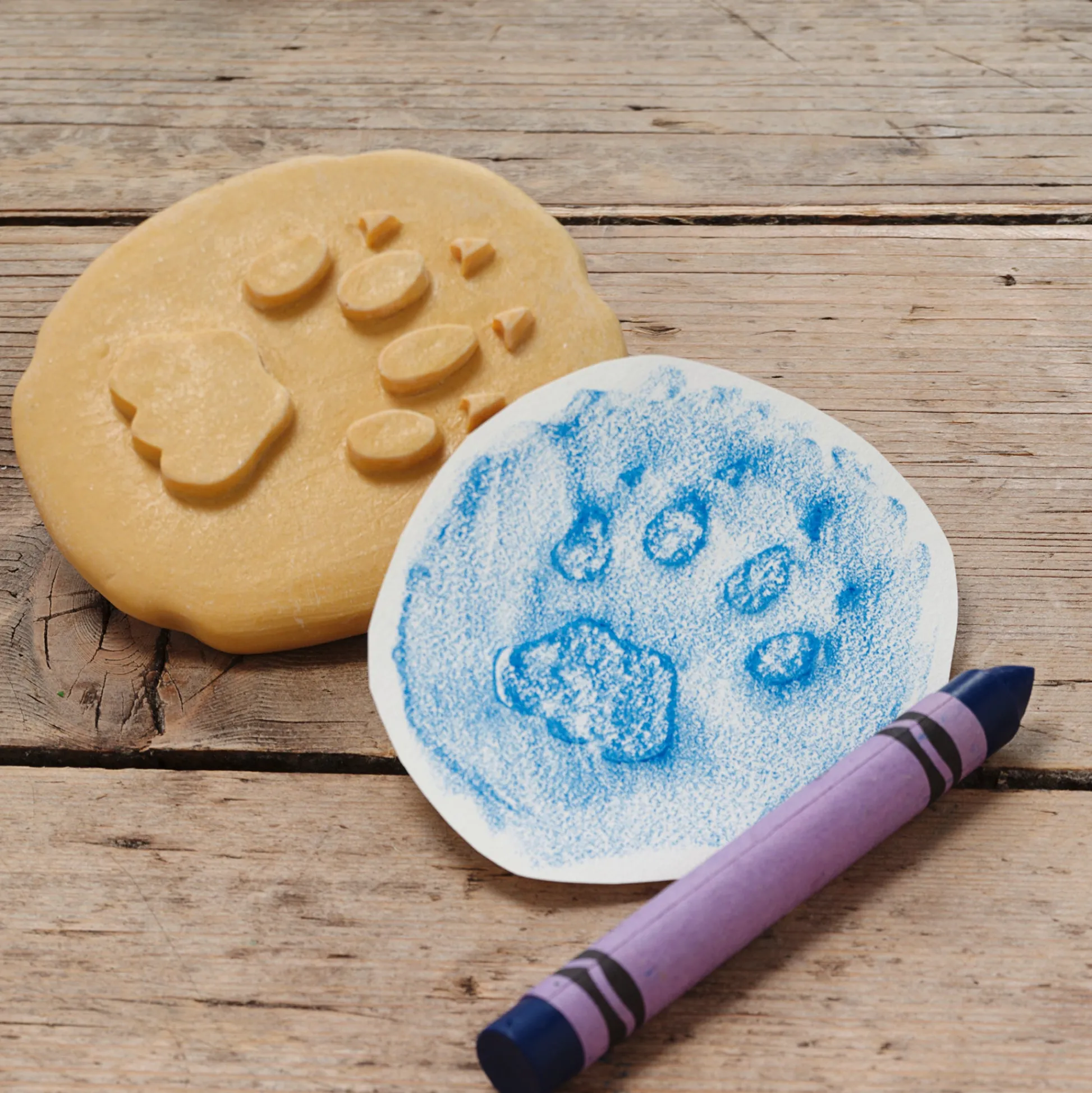 Educators Resource Yellow Door Let's Investigate Safari Footprints - Animal Track Discovery Set* Preschool Education Toys & Activities