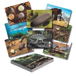 Educators Resource Yellow Door Prehistoric Teeth Activity Cards - Discover Dinosaur Secrets - Set of 16* Science & Discovery
