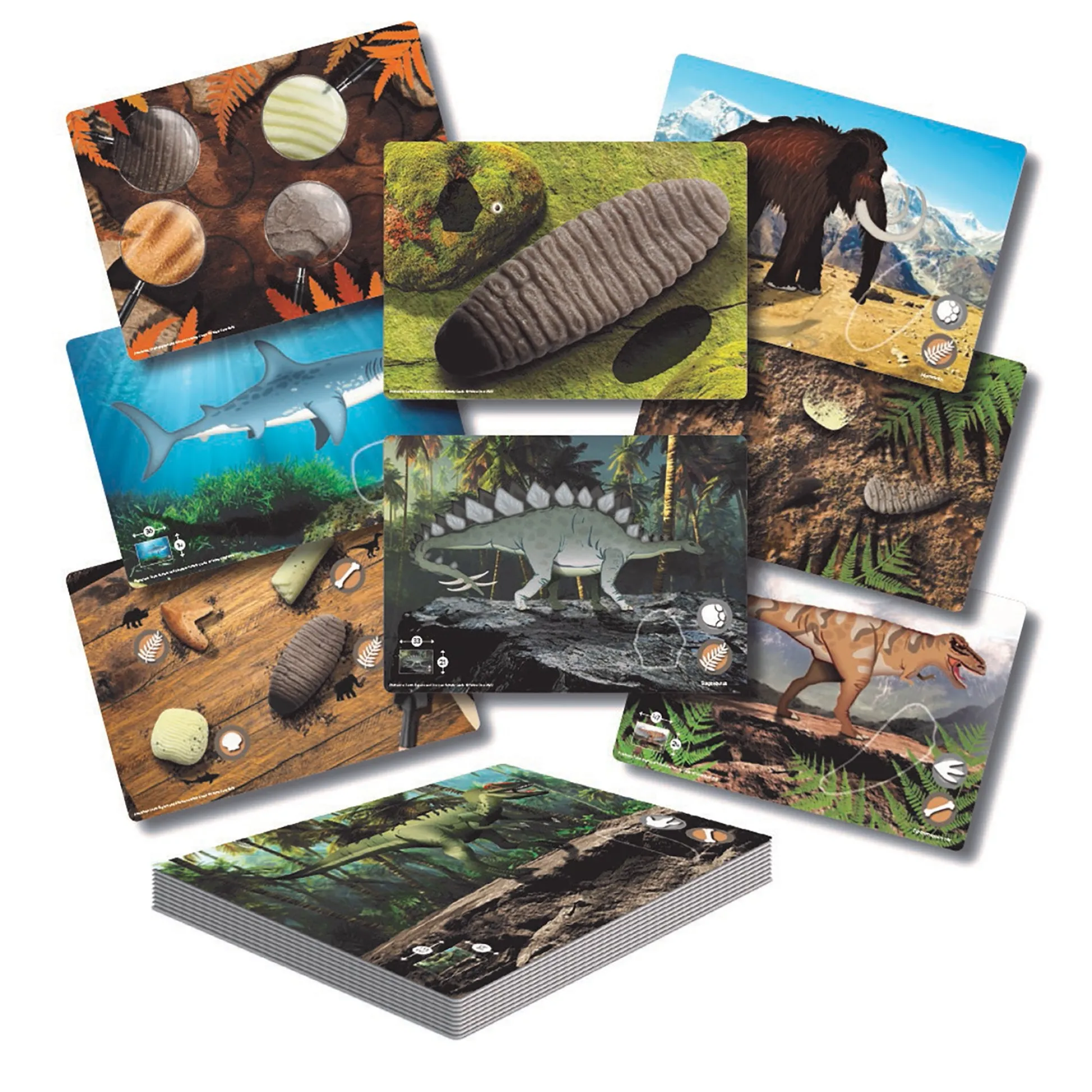 Educators Resource Yellow Door Prehistoric Teeth Activity Cards - Discover Dinosaur Secrets - Set of 16* Science & Discovery