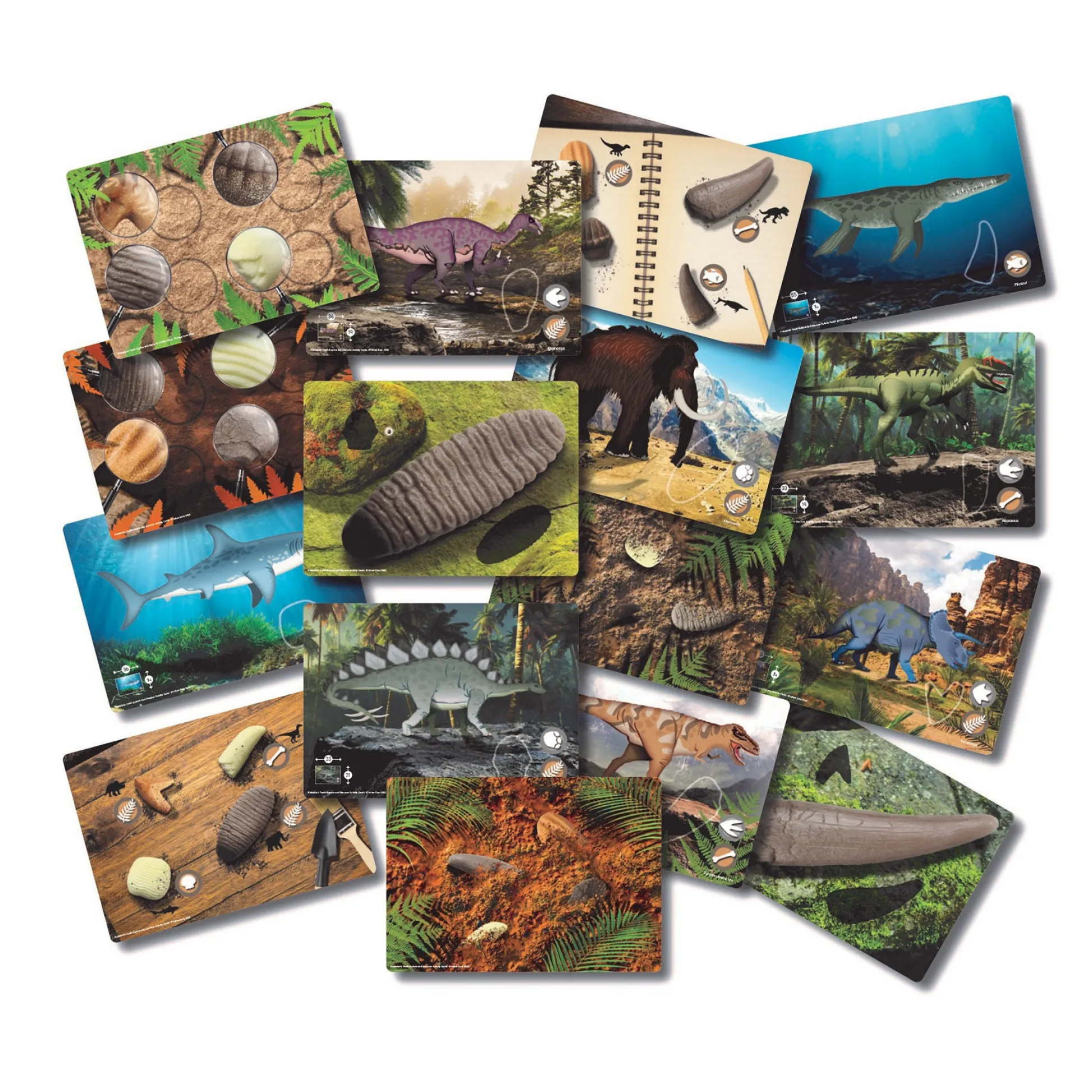 Educators Resource Yellow Door Prehistoric Teeth Activity Cards - Discover Dinosaur Secrets - Set of 16* Science & Discovery