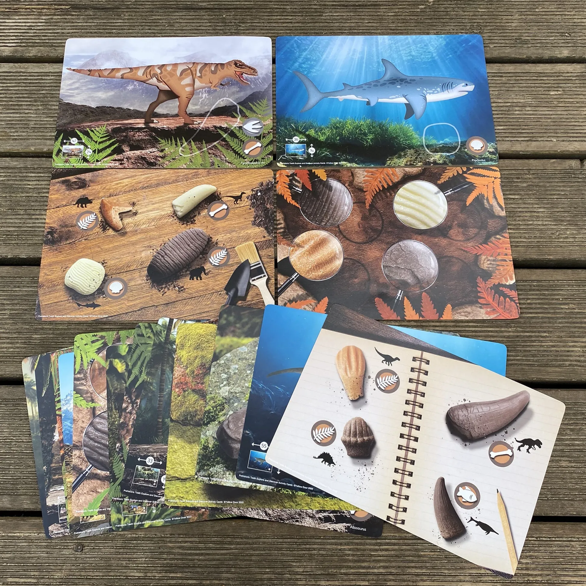 Educators Resource Yellow Door Prehistoric Teeth Activity Cards - Discover Dinosaur Secrets - Set of 16* Science & Discovery