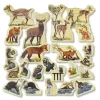 Educators Resource Yellow Door Woodland Animal Families – Enchanting Wooden Playset* Preschool Figures & Playsets|Preschool Education Toys & Activities